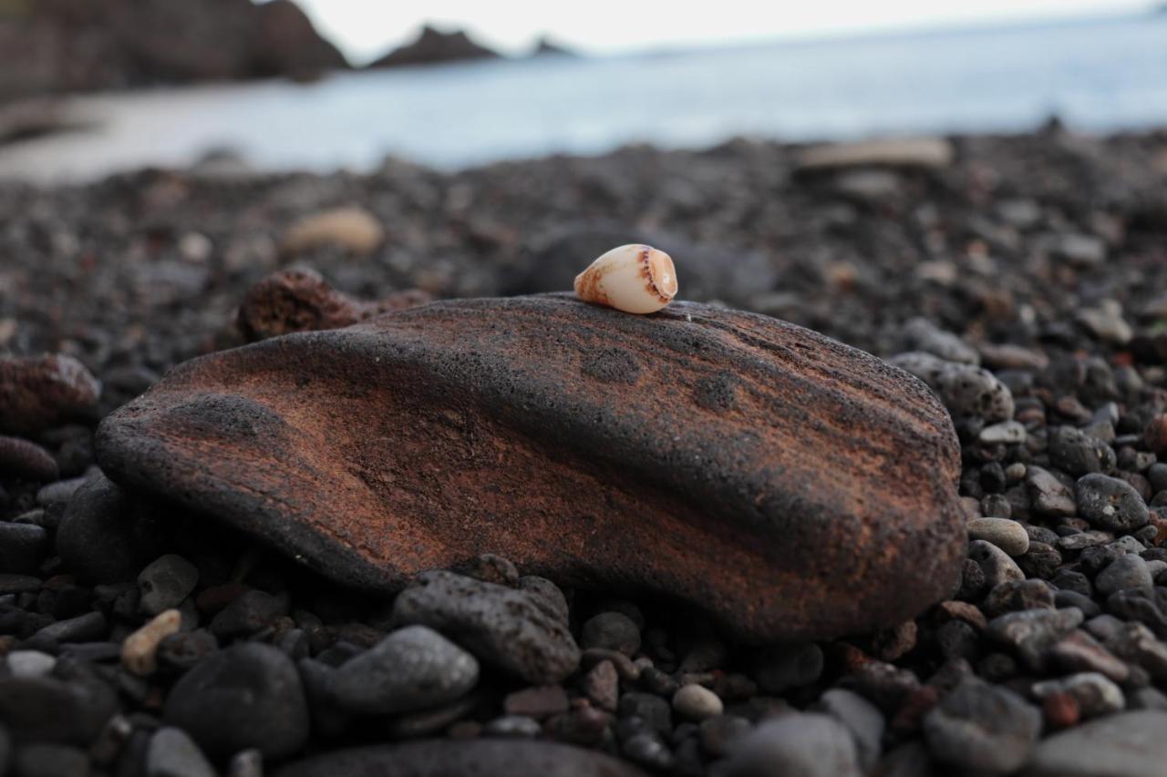 Lajes das FloresCasa L&M公寓 外观 照片
