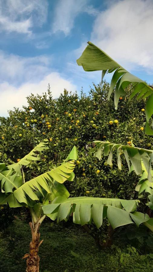 Lajes das FloresCasa L&M公寓 外观 照片