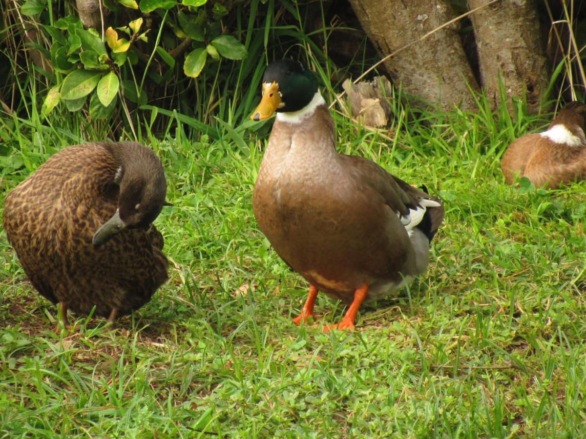 Lajes das FloresCasa L&M公寓 外观 照片